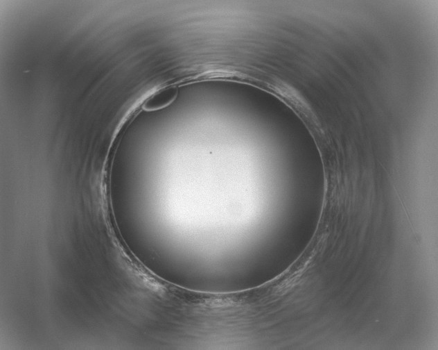 X0000054371190200508051547