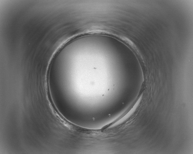 X0000054371191200508051547