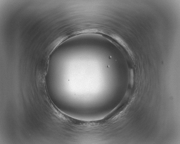 X0000054371193200508051547