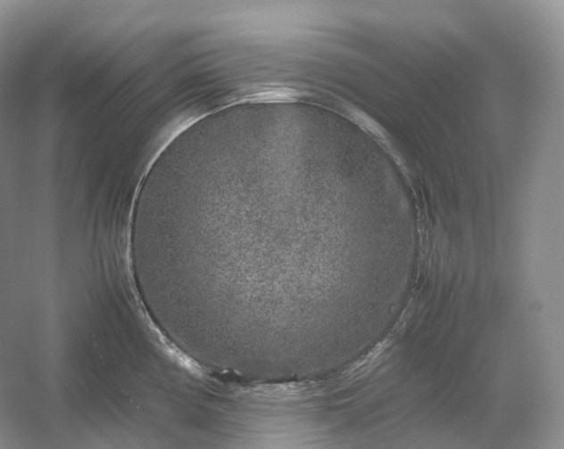 X0000054371194200508051547