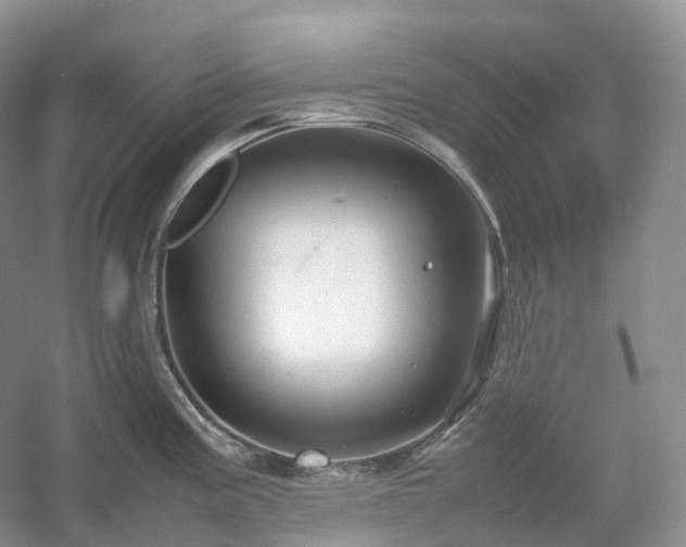 X0000054371195200508051547