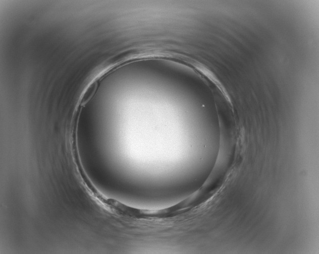 X0000054371197200508051547