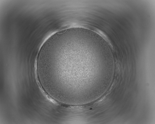 X0000054371198200508051547