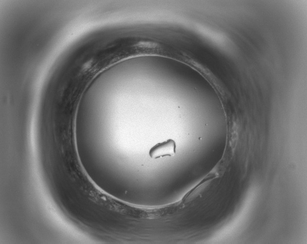 X0000054371199200508051547