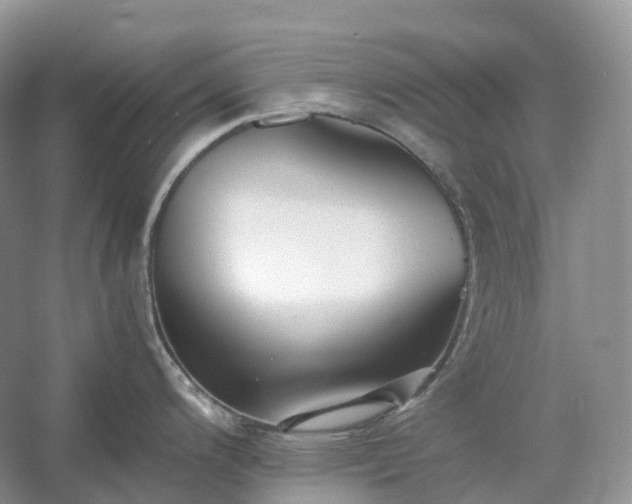 X0000054371200200508051547