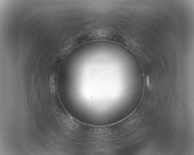 X0000054371203200508051546