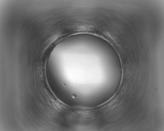 X0000054371211200508051546