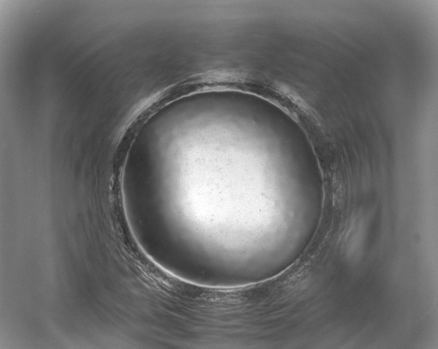 X0000054371213200508051546