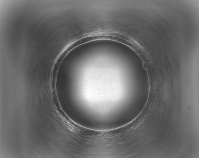 X0000054371216200508051546