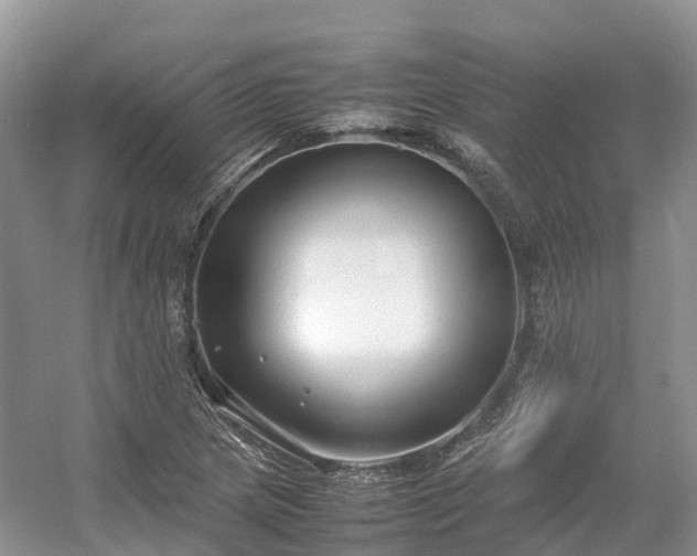 X0000054371217200508051546