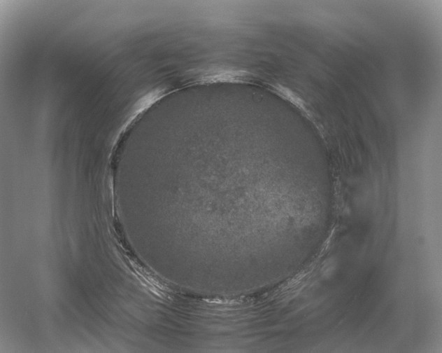 X0000054371219200508051546