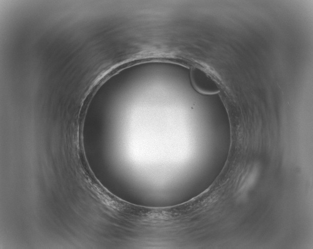 X0000054371220200508051546