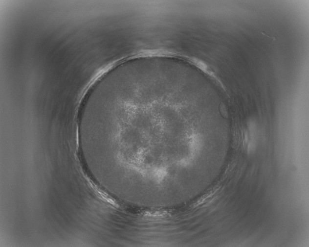 X0000054371221200508051546