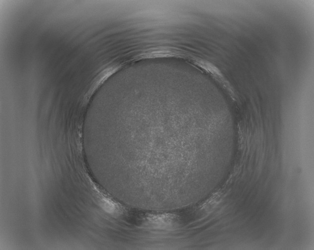 X0000054371225200508051546