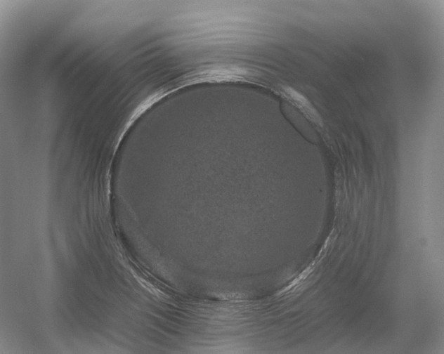 X0000054371226200508051546