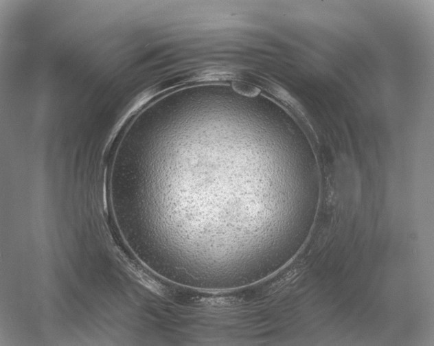 X0000054371227200508051546