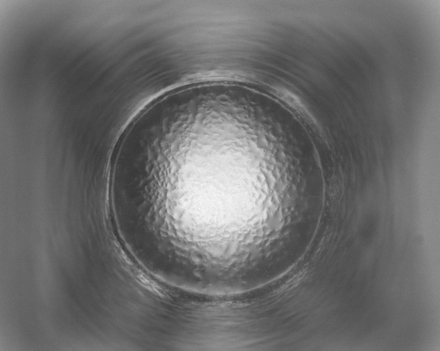 X0000054371228200508051546