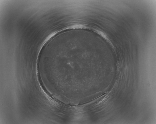 X0000054371229200508051546