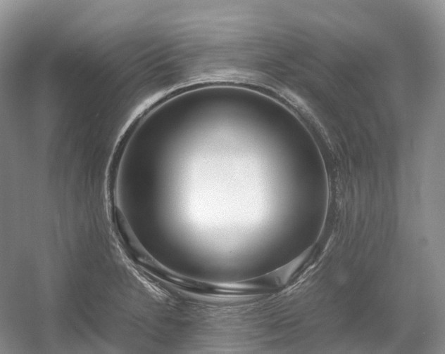 X0000054371230200508051546