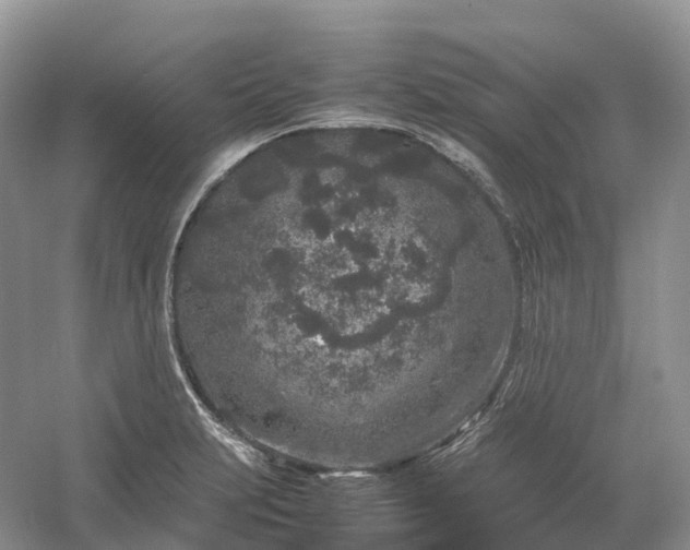 X0000054371231200508051546