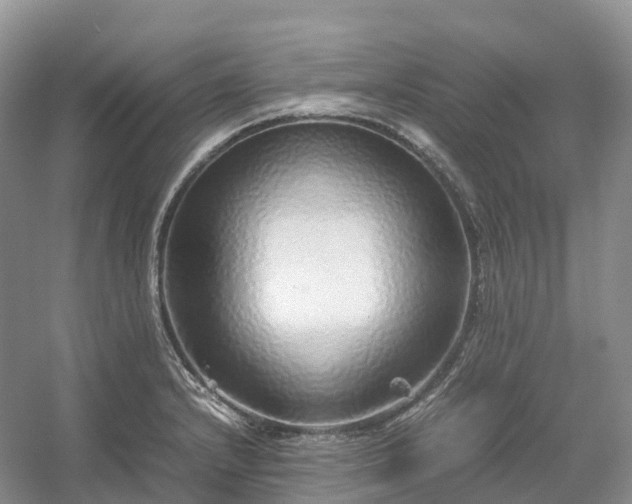 X0000054371232200508051546