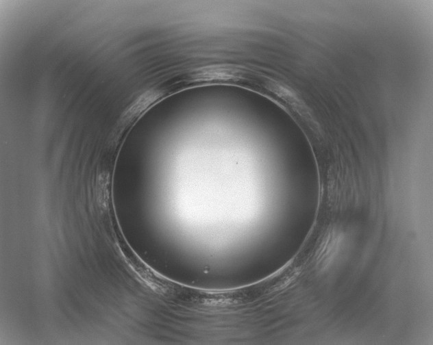 X0000054371233200508051546