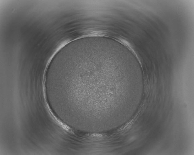 X0000054371235200508051547