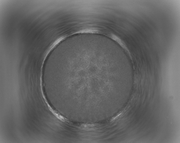 X0000054371237200508051547