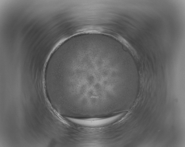 X0000054371240200508051547