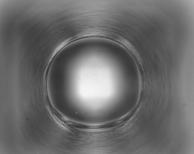 X0000054371242200508051547