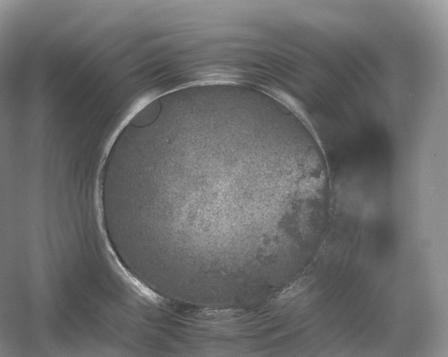 X0000054371243200508051547