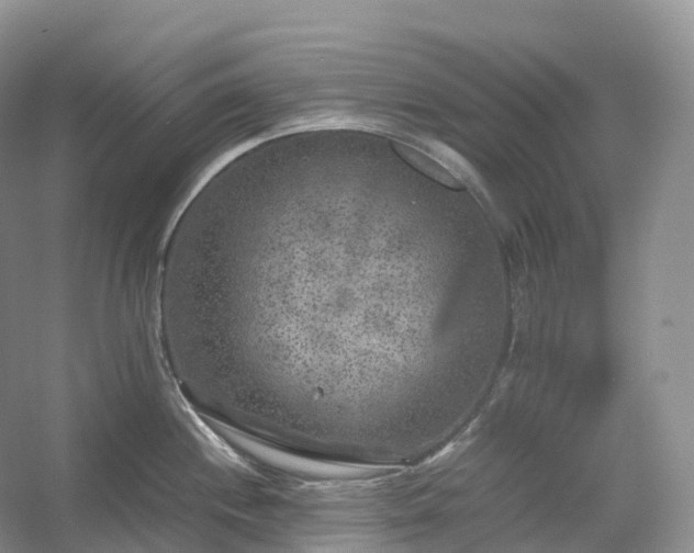 X0000054371244200508051547