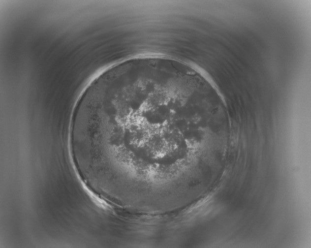 X0000054371245200508051547