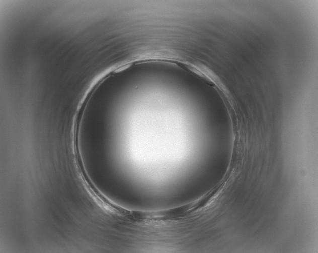 X0000054371246200508051547