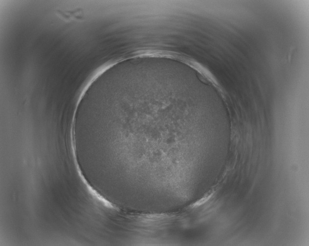 X0000054371247200508051547