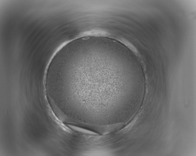 X0000054371248200508051547