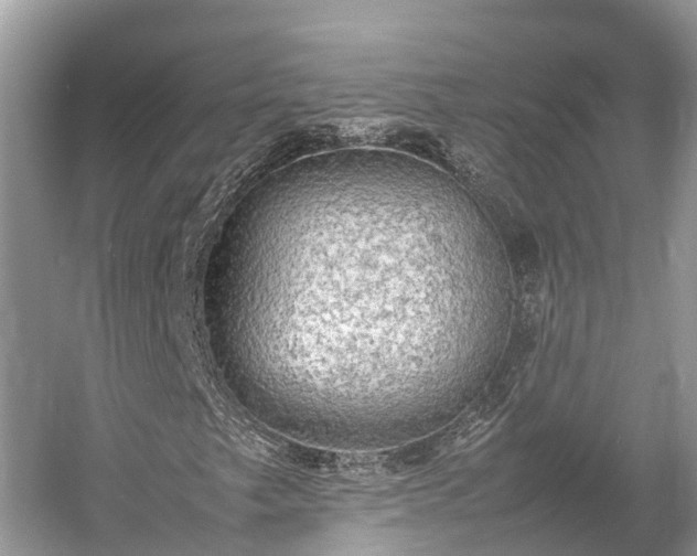 X0000054371249200508051546