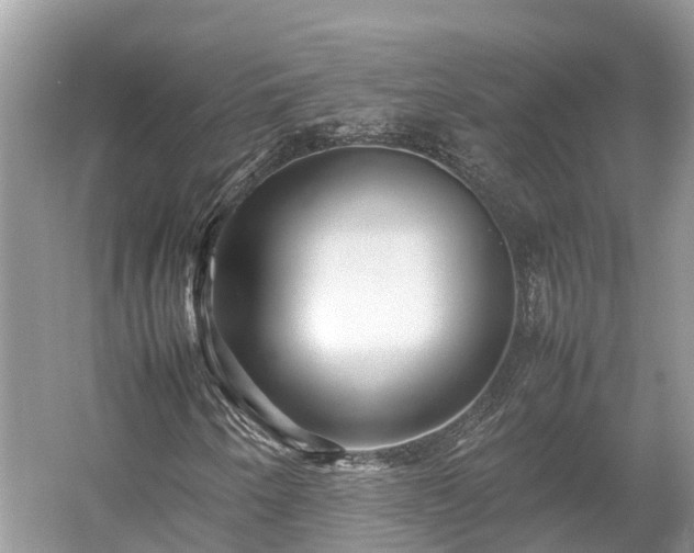 X0000054371250200508051546