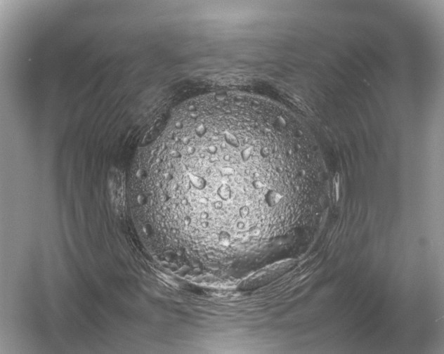 X0000054371251200508051546