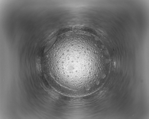 X0000054371252200508051546