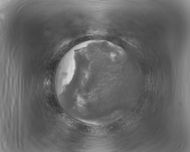 X0000054371254200508051546