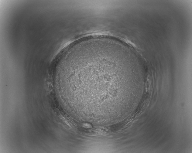 X0000054371255200508051546