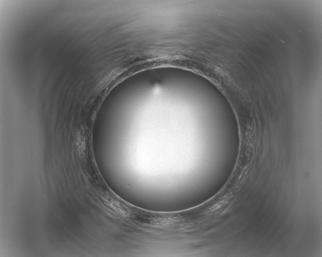 X0000054371257200508051546