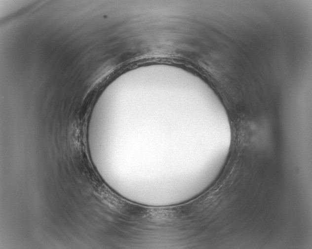 X0000054371258200508051546