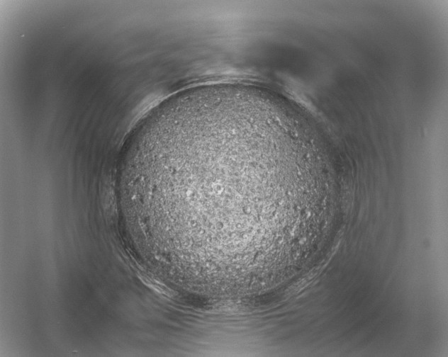 X0000054371259200508051546