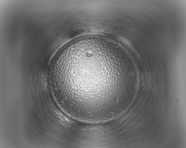 X0000054371260200508051546