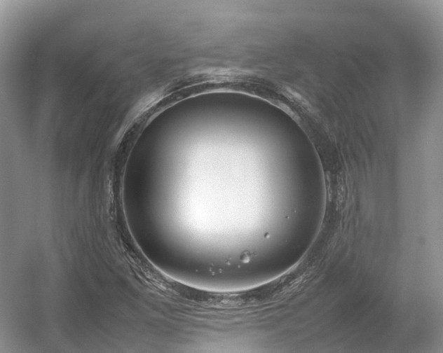 X0000054371261200508051546