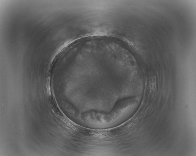 X0000054371262200508051546