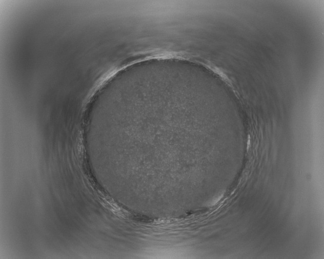 X0000054371263200508051546