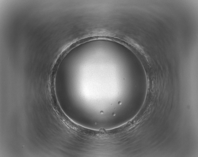 X0000054371264200508051546